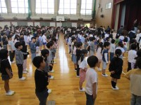 上手に並べるようになってきました