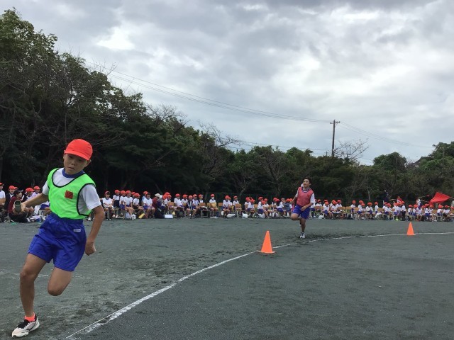 https://taketoyo.schoolweb.ne.jp/2310200/blog_img/54187319?tm=20241005143505