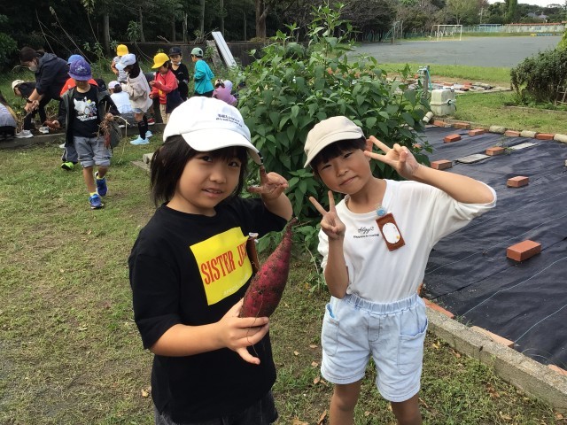 https://taketoyo.schoolweb.ne.jp/2310200/blog_img/54366210?tm=20241031191123