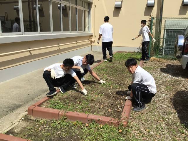 草取りの様子3