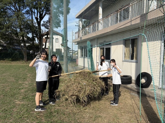 こんなにたくさんの草が