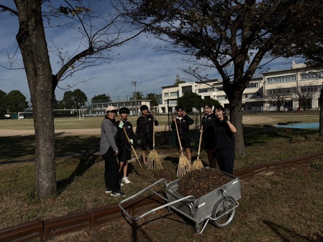 こんなにたくさんの落ち葉が