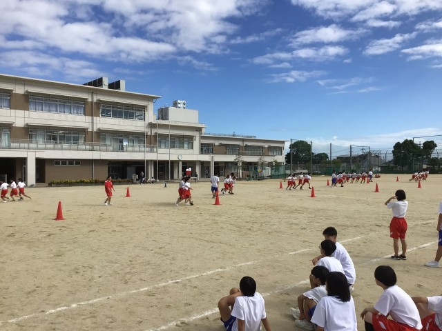 https://taketoyo.schoolweb.ne.jp/2320092/blog_img/54225185?tm=20241010182316